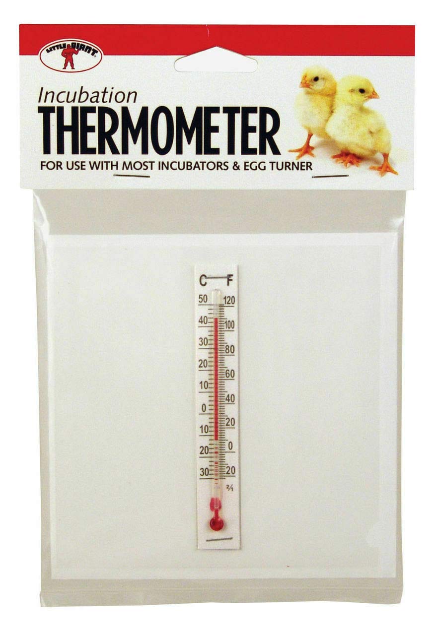 Thermometer for Incubators