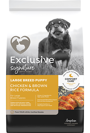Exclusive Signature Large Breed Puppy Chicken Brown Rice 30#