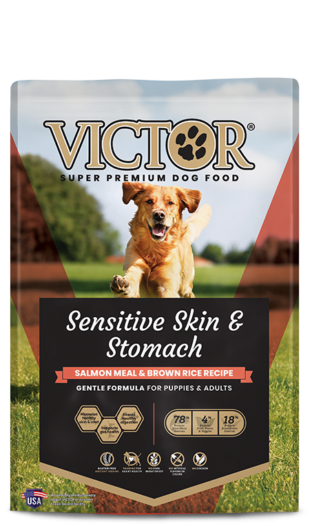 Victor Sensitive Skin & Stomach Salmon Meal & Brown Rice 30LB