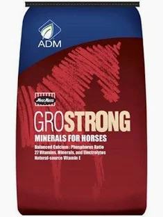 GroStrong Horse Mineral 25LB
