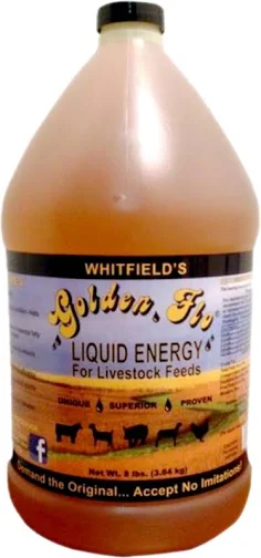 Golden Flo Liquid Energy for Livestock 1 Gal
