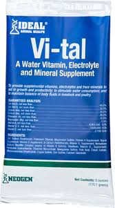 Vi-Tal Vitamin & Electrolyte Supplement 6oz